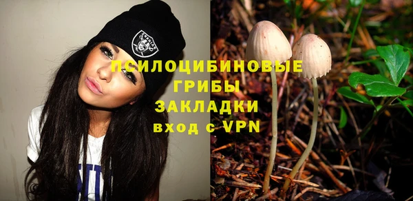синтетический гашиш Карпинск