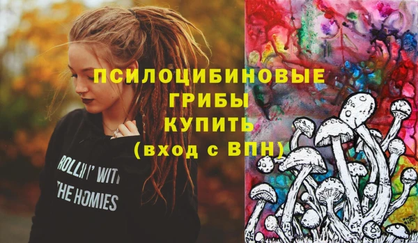 эйфоретик Каменка