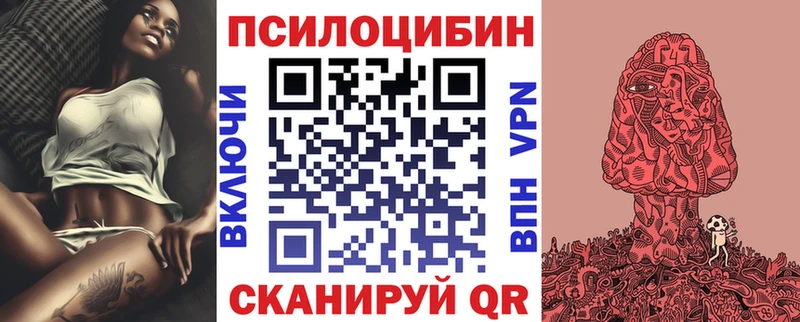Галлюциногенные грибы MAGIC MUSHROOMS  купить наркотики цена  Новоалександровск 